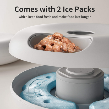 Auto Feeder