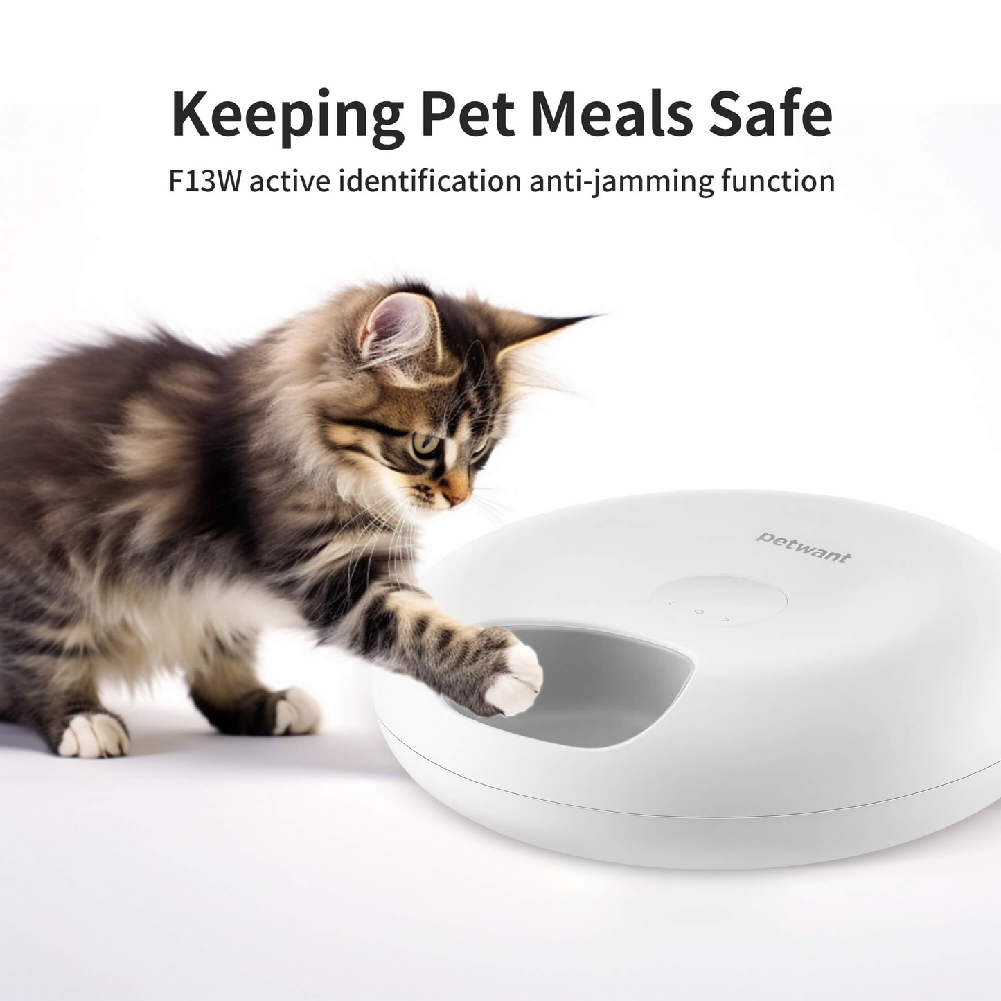 Auto Feeder