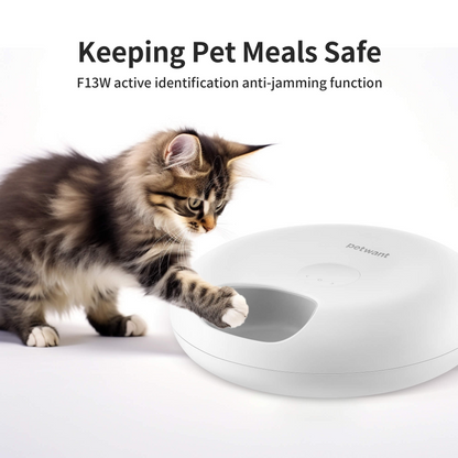 Auto Feeder
